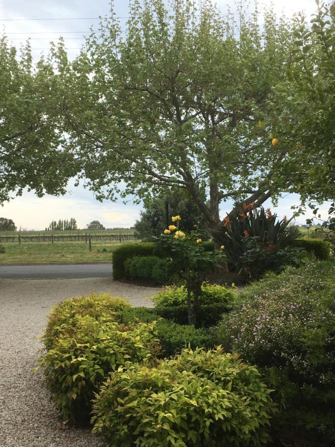 Wine And Roses Bed And Breakfast Adelaida Exterior foto